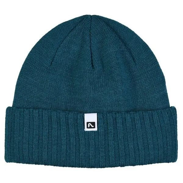 Flylow Forecaster Beanie Neptune