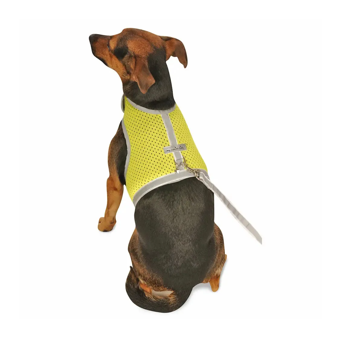 My Canine Kids Athletic Reflective Mesh Vest Harness Teacup to 15 LBS