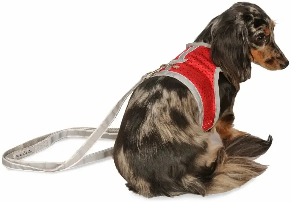 My Canine Kids Athletic Reflective Mesh Vest Harness Teacup to 15 LBS