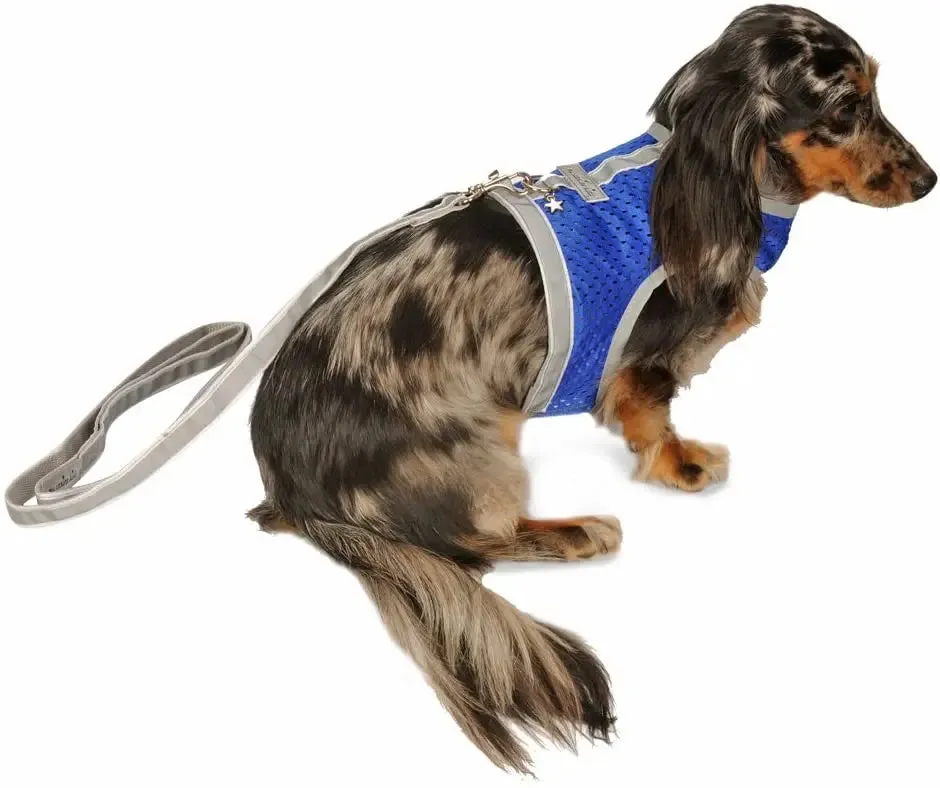 My Canine Kids Athletic Reflective Mesh Vest Harness Teacup to 15 LBS