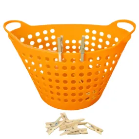 Pegs & Washing Basket